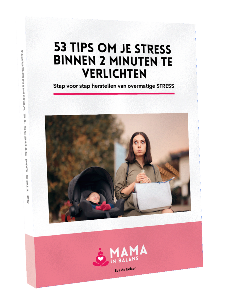 Boekomslag 53 tips om stress te verminderen
