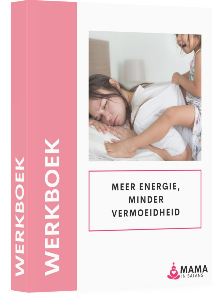 Boekomslag werkboek cursus 'meer energie, minder vermoeidheid'