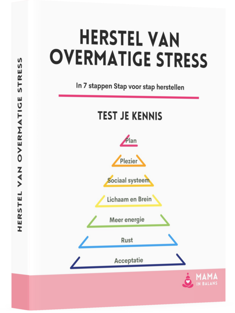 Gratis download Herstel in 7 stappen van overmatige stress